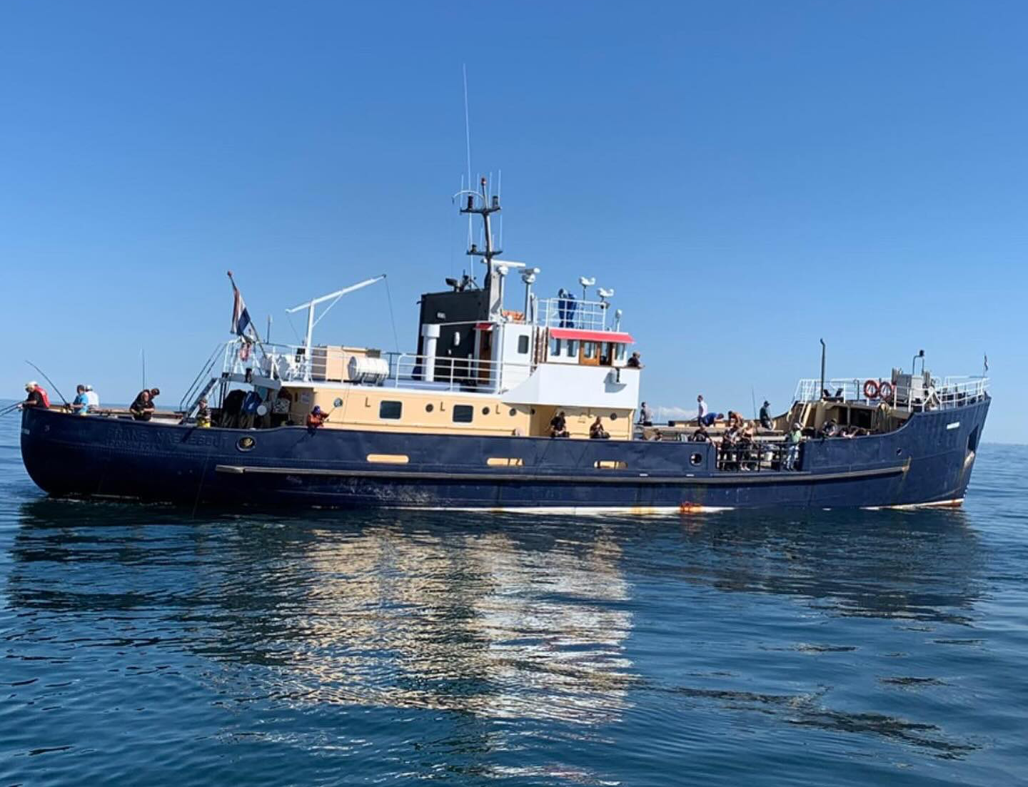 Zeevissen: wat heb je nodig?