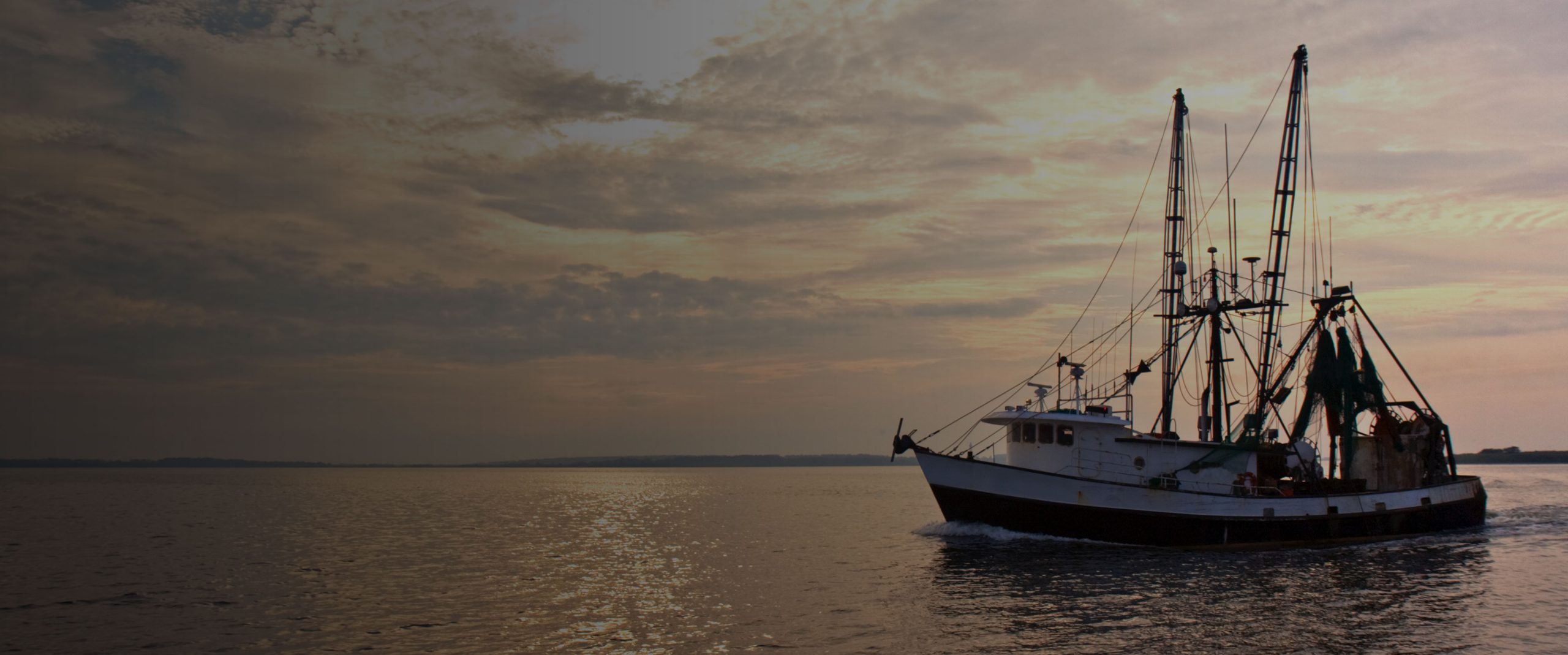 Vissen met kunstaas: soorten aas en succesvolle vistechnieken